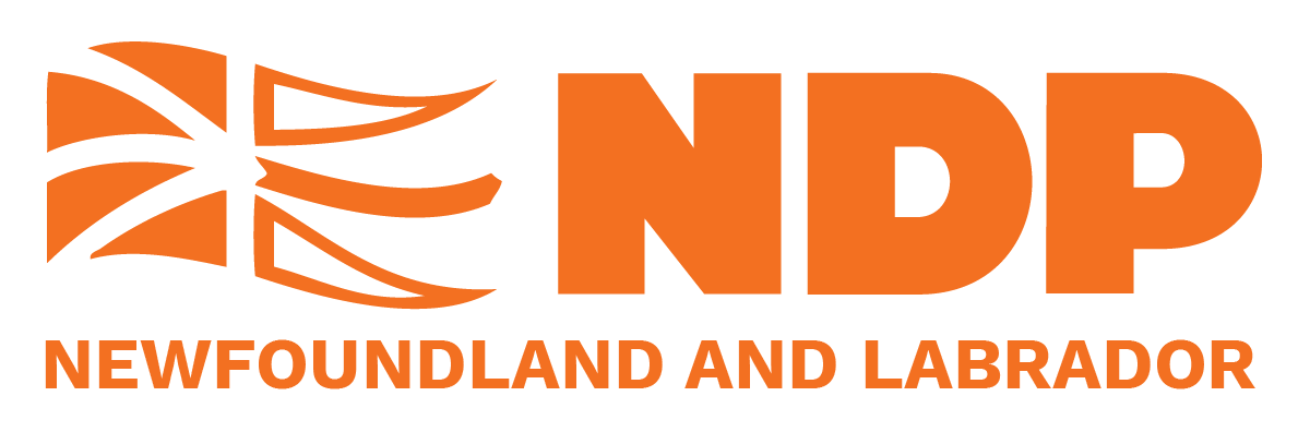 NDP logo